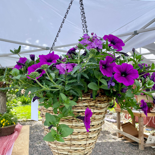 BASKETS &amp; CONTAINERS