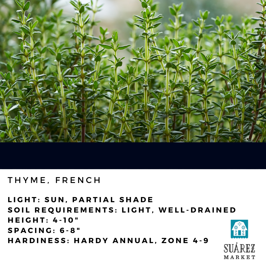 4" HERB