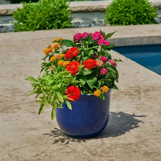 BASKETS &amp; CONTAINERS