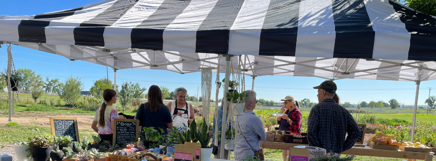 Volunteer: Market Day
