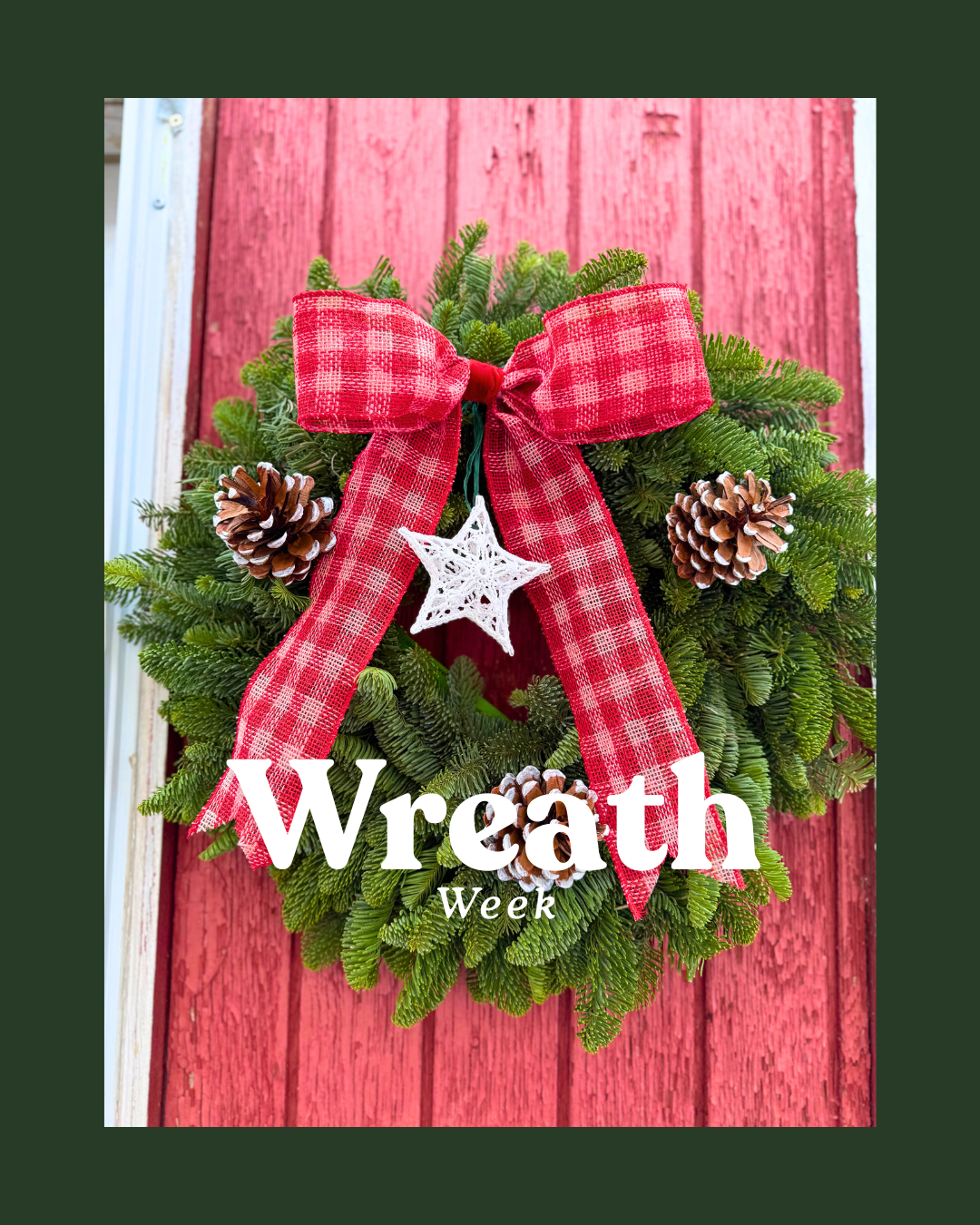 Wreath Evergreen Fresh