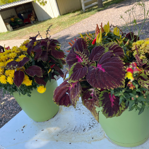 BASKETS &amp; CONTAINERS