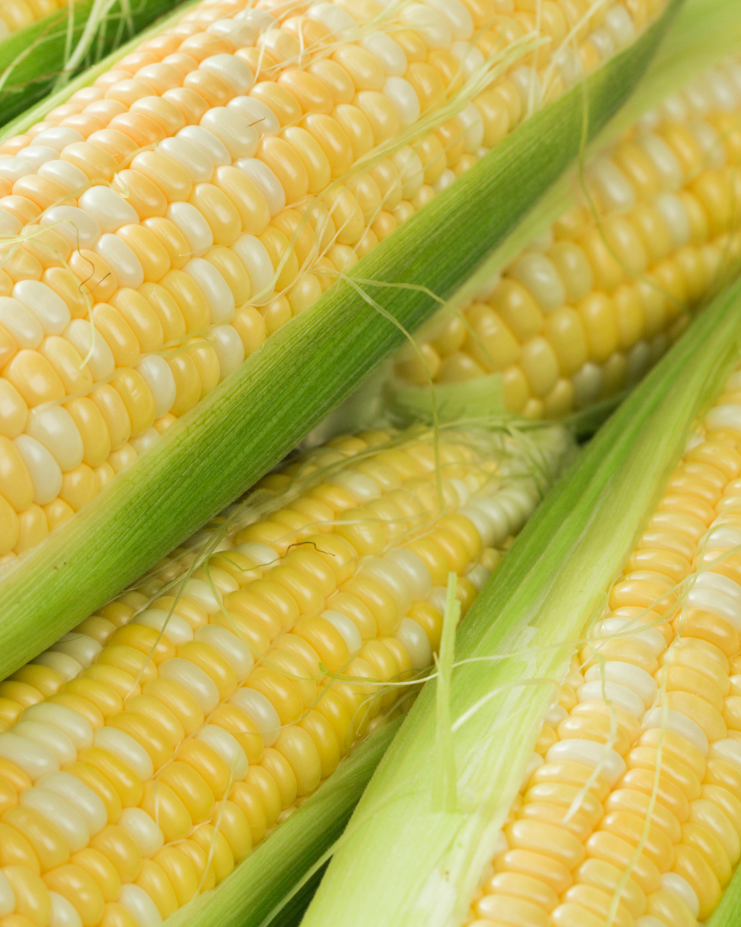 CORN