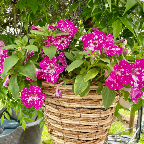 BASKETS &amp; CONTAINERS