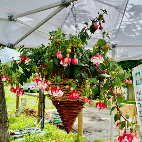BASKETS &amp; CONTAINERS