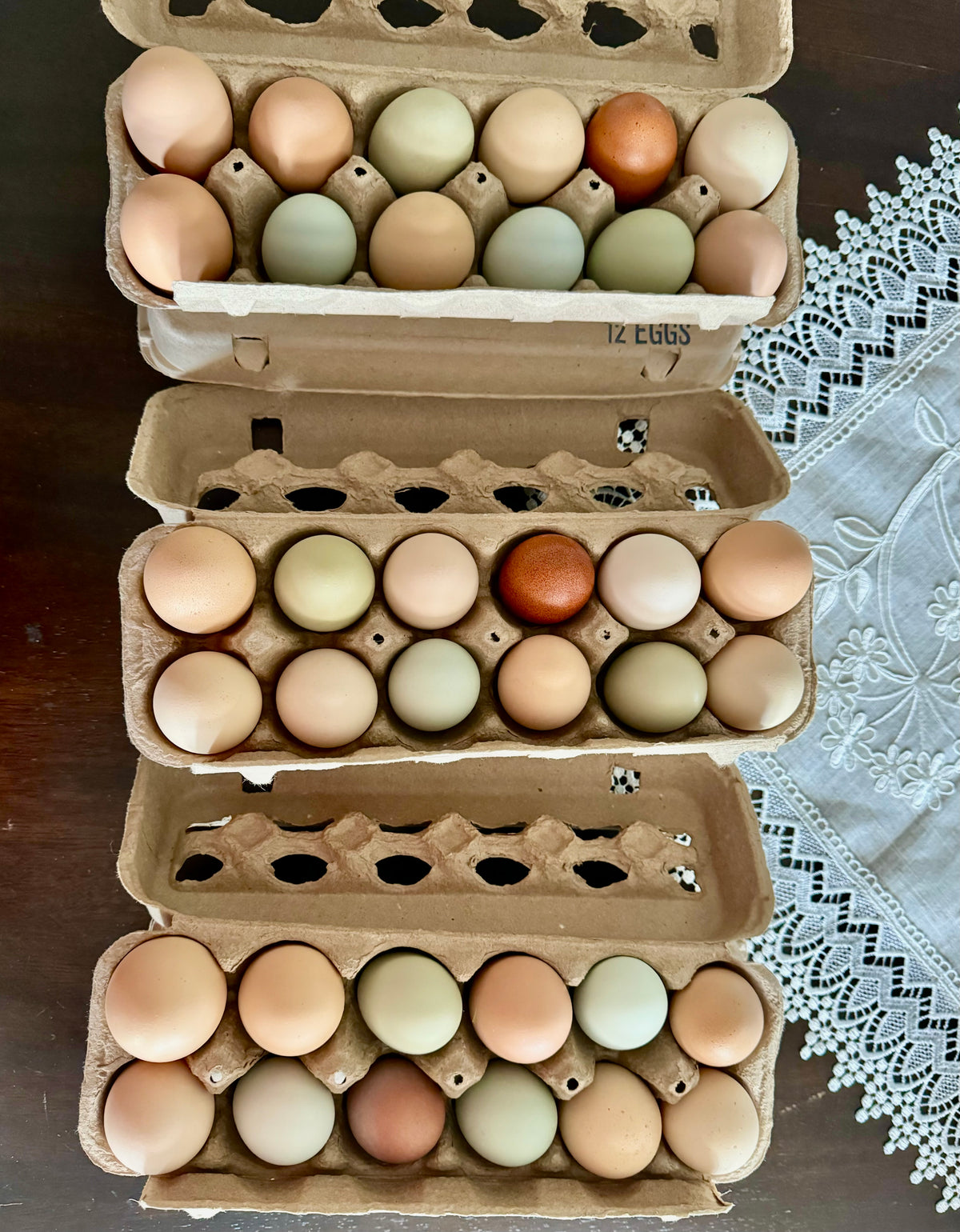 RAINBOW EGGS
