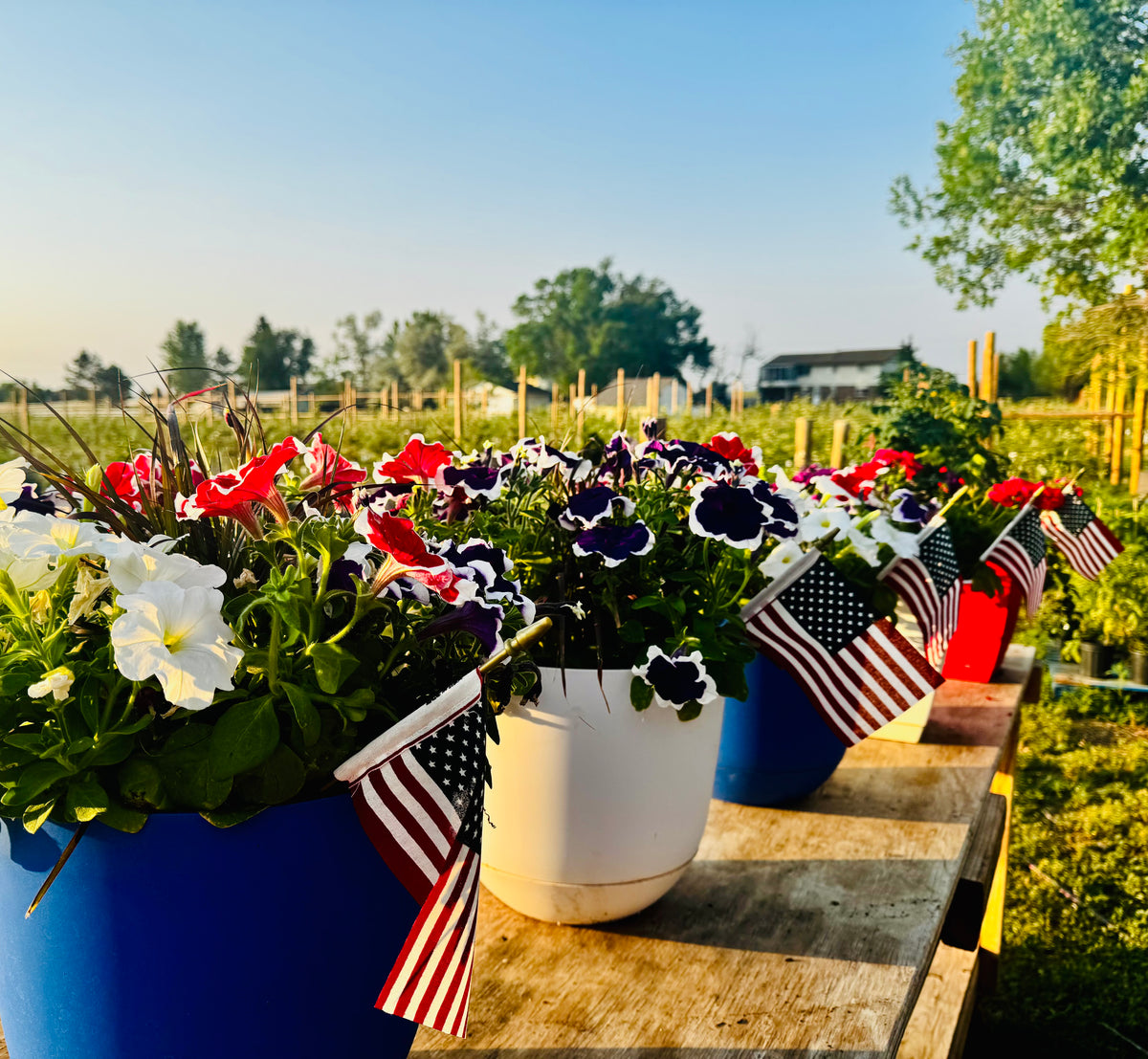 FLOWER BASKETS-CONTAINERS