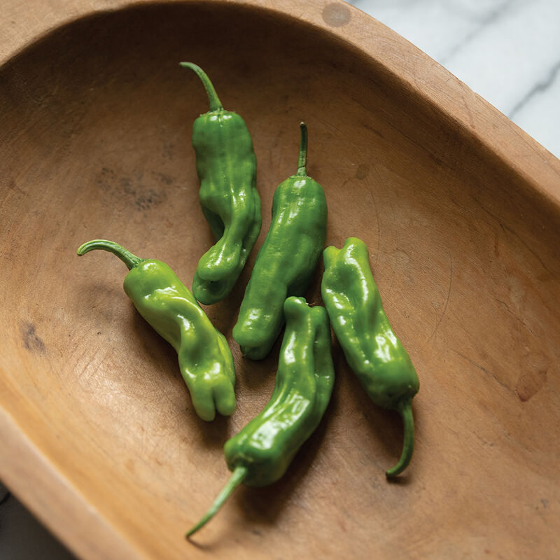 HOT PEPPERS FRESH