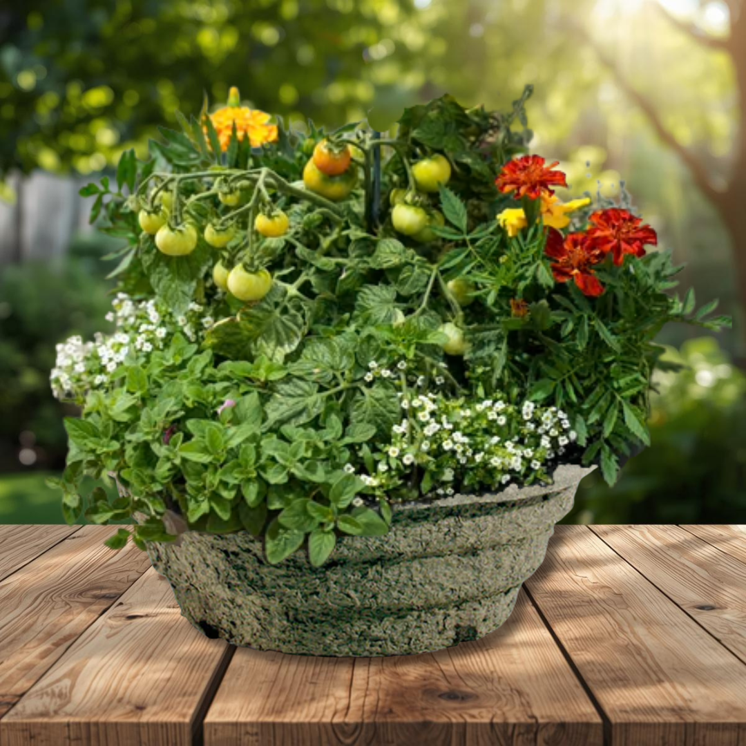 15' TINY TOMATO MIXED GARDEN BOWL