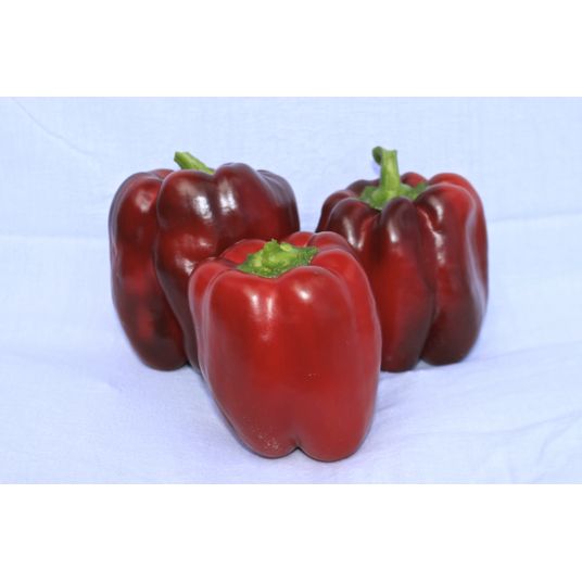 RED PEPPER ROASTED