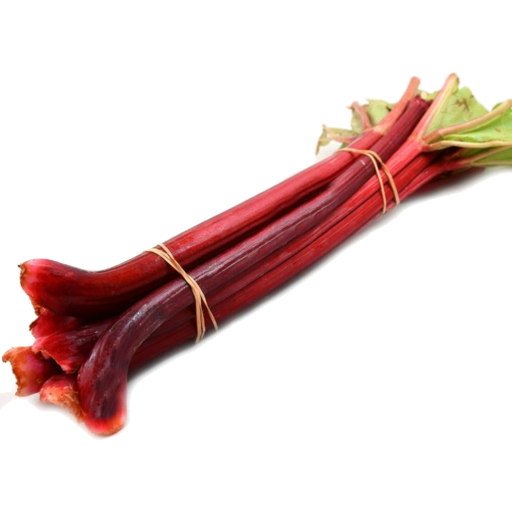 RHUBARB ORGANIC