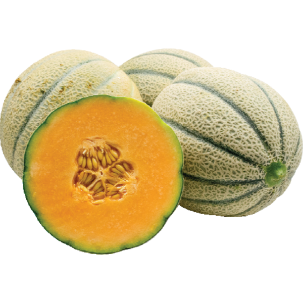 MELONS