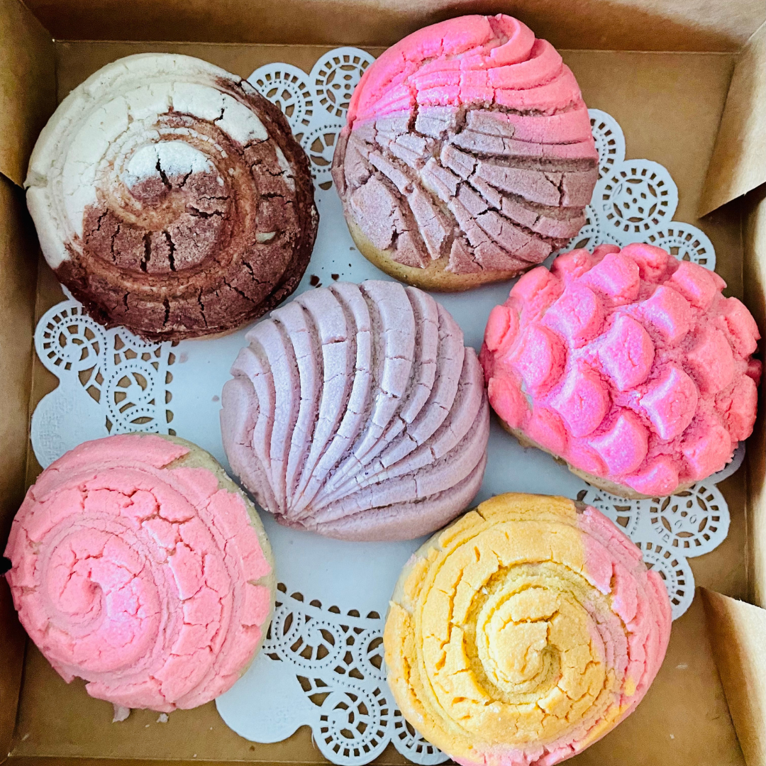 CONCHAS MINI