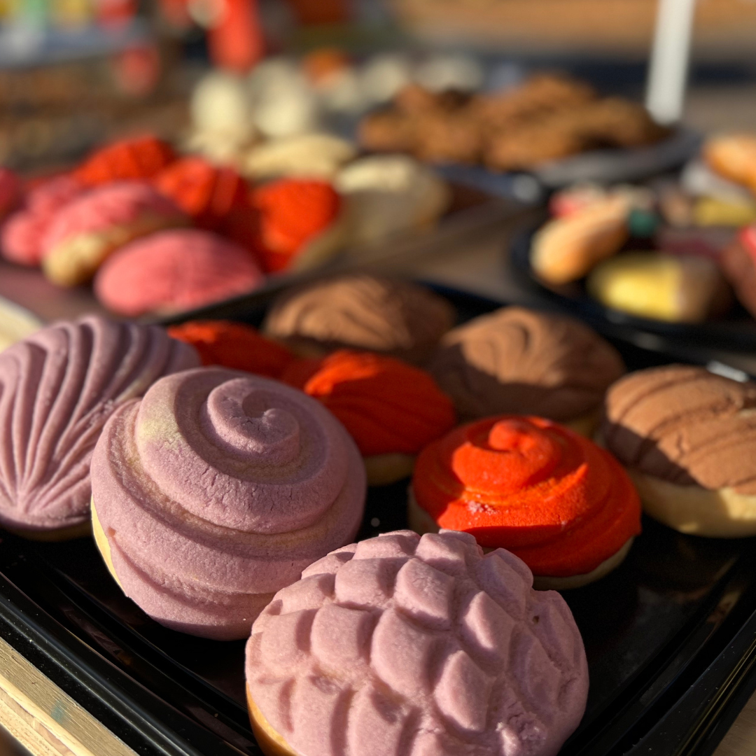 CONCHAS MINI
